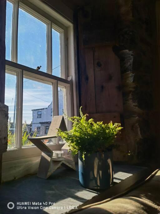 Brynglas Cottage With Hot Tub, Anglesey. Llanfachraeth Экстерьер фото